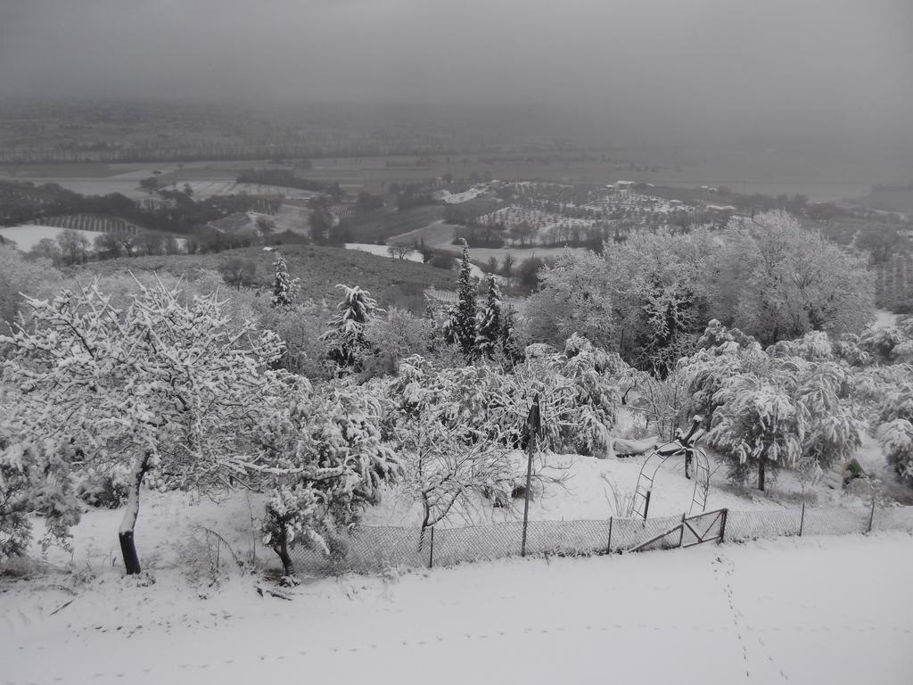A Casa Di Mì Appartamenti vacanza Montefalco Esterno foto